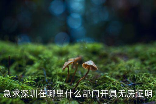 坪山國(guó)土局在什么地方，深圳哪座山比較有趣