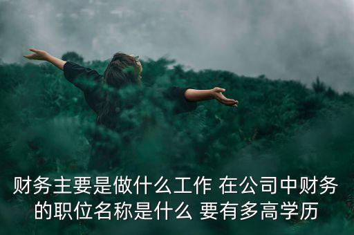 105團(tuán)財務(wù)是做什么的，財務(wù)主要是做什么工作 在公司中財務(wù)的職位名稱是什么 要有多高學(xué)歷