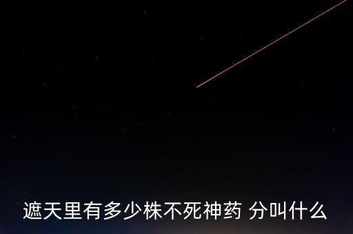 神藥代表什么，圣經(jīng)黃金沫藥什么含義
