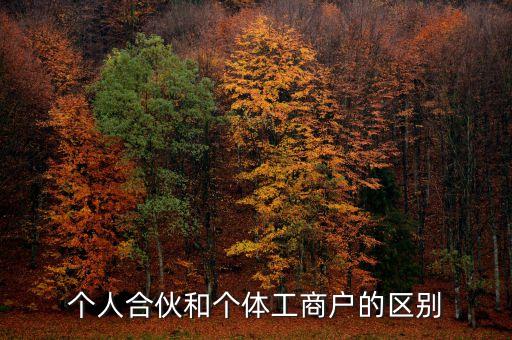 個(gè)人合伙領(lǐng)取什么經(jīng)營(yíng)執(zhí)照，個(gè)人合伙辦理個(gè)體工商戶執(zhí)照
