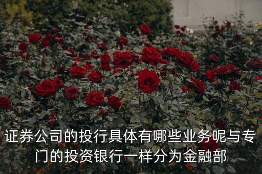 國(guó)內(nèi)券商投行部在做什么，國(guó)有四大行的投行部在做什么
