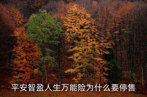 智盈人生為什么停售了，平安保險(xiǎn)的停智盈人生為什么要停售