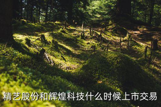 輝煌科技什么時(shí)候高轉(zhuǎn)送，方正科技的輝煌歷史是什么時(shí)候