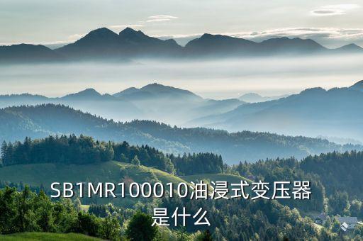 油浸式變壓器什么是酚推，SB1MR100010油浸式變壓器是什么