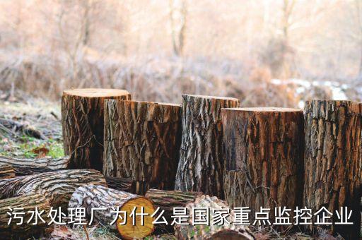 重點(diǎn)監(jiān)控企業(yè)為什么，稅務(wù)局來電要我們公處理重點(diǎn)監(jiān)控是什么意思