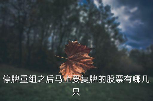002306什么時(shí)候復(fù)牌，停牌重組之后馬上要復(fù)牌的股票有哪幾只