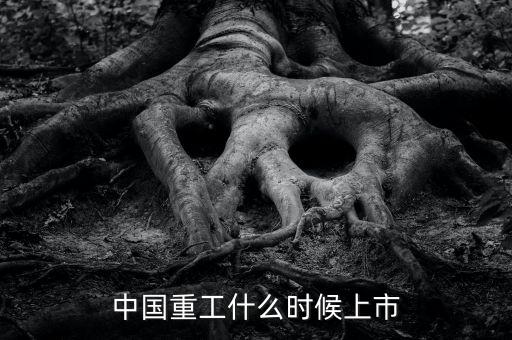 中國重工什么時候增發(fā)，中國重工上市時間