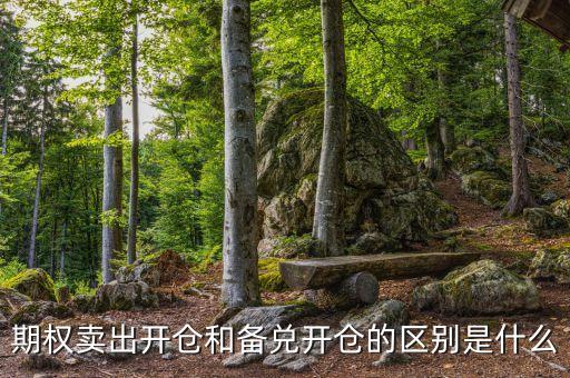 期權(quán)賣出開倉(cāng)和備兌開倉(cāng)的區(qū)別是什么