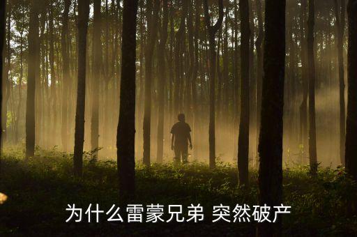 雷曼兄弟為什么破產(chǎn)，雷曼兄弟是因?yàn)槭裁炊飘a(chǎn)的