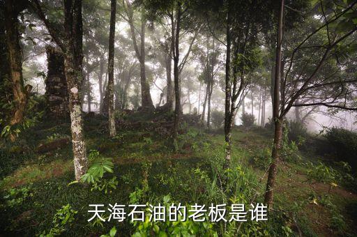 天海收購(gòu)英邁什么時(shí)間，信用卡能不能申請(qǐng)延遲2天?？?/></a></span><span id=