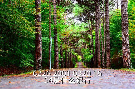 625166是什么銀行，6226 2001 0320 1654是什么銀行