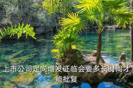 中珠控股定向增發(fā)什么時候批下來，上市公司定向增發(fā)證臨會要多長時間才能批復(fù)