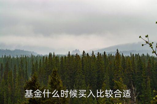 基金在什么時(shí)候買(mǎi)入，買(mǎi)入基金的最佳時(shí)機(jī)