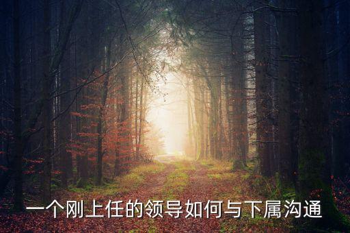 新任董事長(zhǎng)應(yīng)該做什么，董事會(huì)換屆選舉怎么做