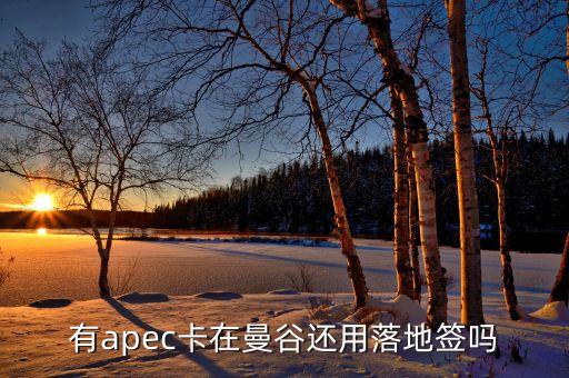 apec為什么有俄羅斯，亞太經(jīng)合組織怎么樣為什么中國(guó)1991年才加入怕俄羅斯聯(lián)邦嗎