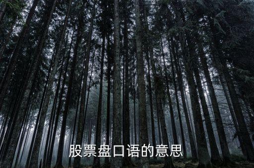 股票盤口語(yǔ)的意思