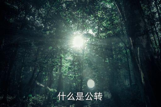 公轉書是什么，什么是公轉