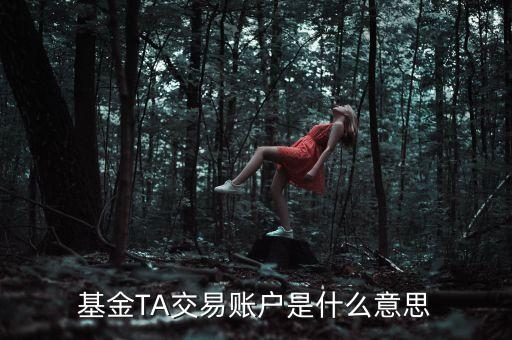 基金ta是什么意思，網(wǎng)銀買基金時(shí)的TA賬戶是什么意思