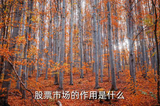 股票交易市場有什么意義，股票市場的作用是什么