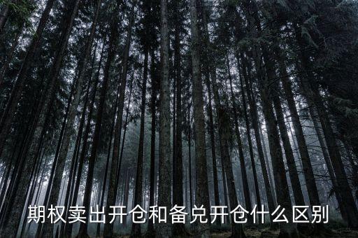 個(gè)股期權(quán)賣出開倉什么意思，賣出開倉是咋意思