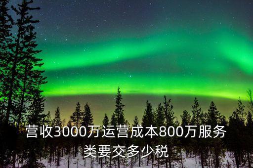 營(yíng)收3000萬(wàn)運(yùn)營(yíng)成本800萬(wàn)服務(wù)類(lèi)要交多少稅