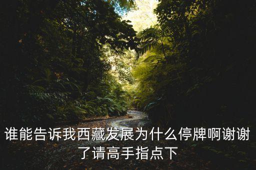 銀河投資什么時(shí)候復(fù)牌，銀河科技000806這個(gè)股票為什么連續(xù)停牌