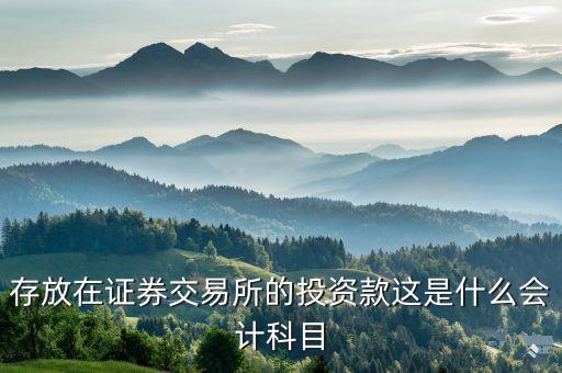 證券投資屬于什么會(huì)計(jì)科目，存放在證券交易所的投資款這是什么會(huì)計(jì)科目