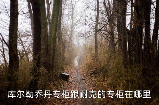 庫爾勒匯嘉有什么品牌，庫爾勒的匯嘉有沒有ZA化妝品專柜