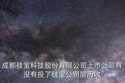 成都硅寶科技股份有限公司上市公司有沒有投了硅寶公司簡歷收