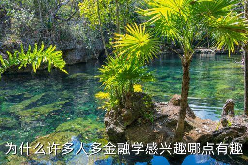 為什么許多人多金融學感興趣哪點有趣