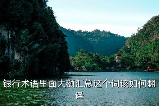 大額匯兌是什么意思，銀行術(shù)語里面大額匯總這個詞該如何翻譯
