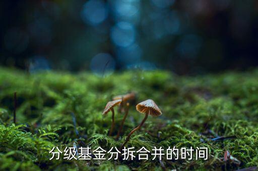 基金什么時(shí)候拆分，基金一般在什么時(shí)候拆分或分紅