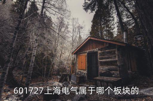 上海電氣什么行業(yè)，上海置信電氣股份有限公司是屬于什么行業(yè)