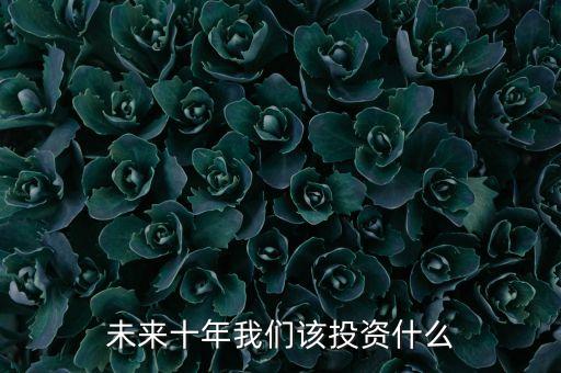 未來(lái)十年我們?cè)撏顿Y什么