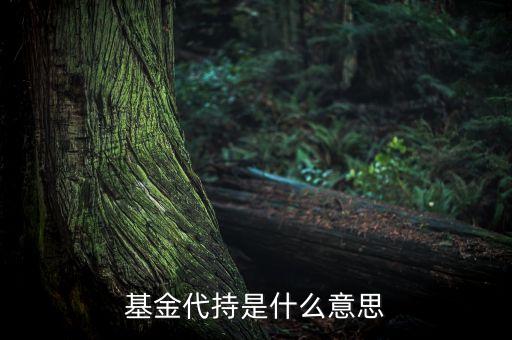 什么是代持，基金代持是什么意思