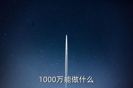 投資1000萬能做什么，1000W能做什么