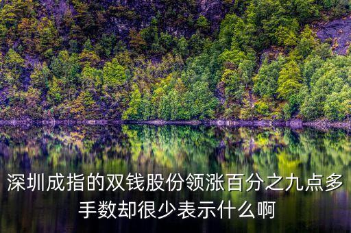 雙錢股份是什么公司，深圳成指的雙錢股份領(lǐng)漲百分之九點(diǎn)多 手?jǐn)?shù)卻很少表示什么啊