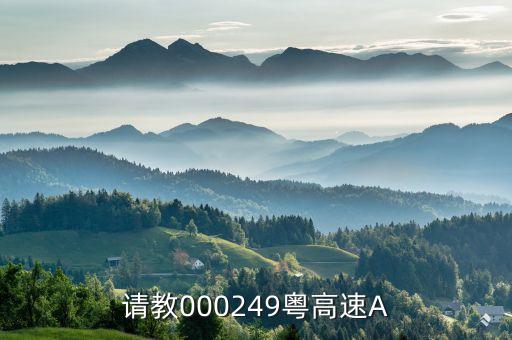 請教000249粵高速A