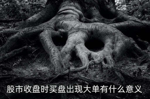 股市收盤時(shí)買盤岀現(xiàn)大單有什么意義