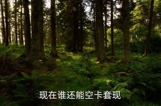什么地方可以空卡套現(xiàn)，誰(shuí)知道煙臺(tái)地區(qū)有辦理空卡套現(xiàn)的么