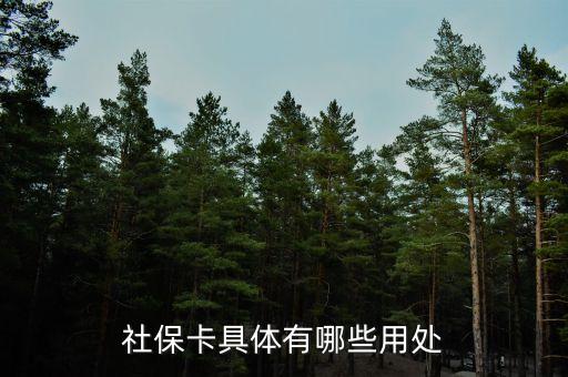 社?？ň唧w有哪些用處