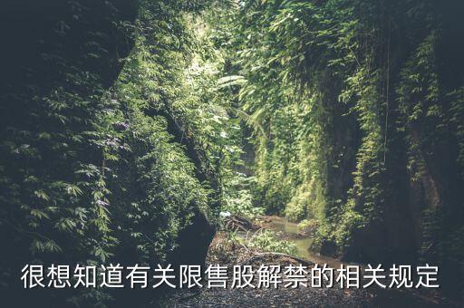 很想知道有關(guān)限售股解禁的相關(guān)規(guī)定