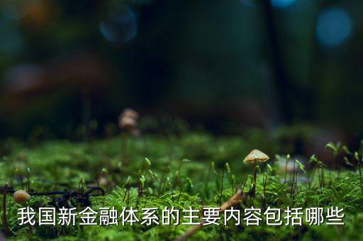 我國的金融體系包括什么，簡述我國現(xiàn)行的金融體系分別有哪些金融機(jī)構(gòu)