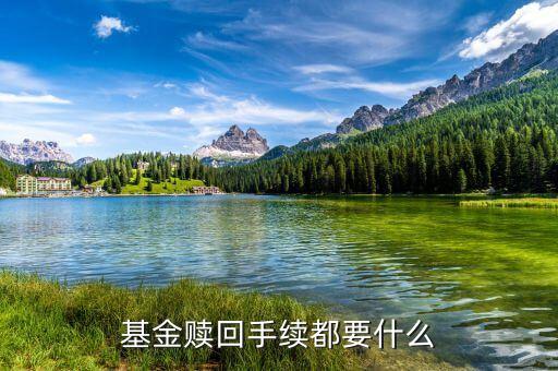 基金贖回需帶什么，基金贖回手續(xù)都要什么