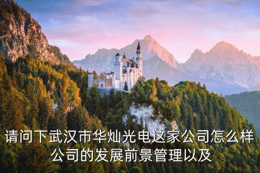 300323華燦光電是干什么的，蘇州華燦光電工作是流水線嗎