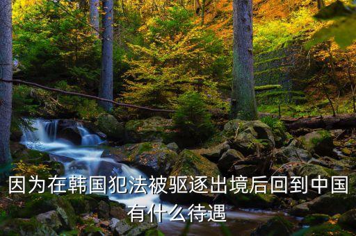 在國外犯罪逃回國有什么后果，逃犯持外國護(hù)照回國會怎樣