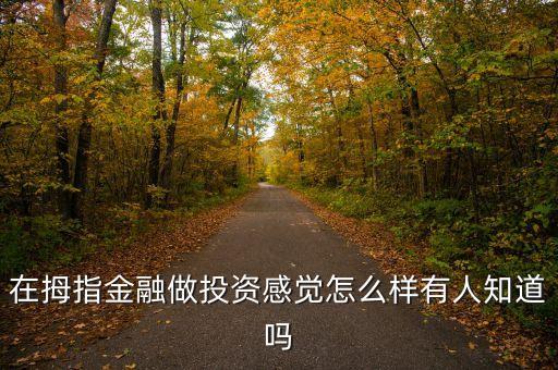 中超控股是干什么的，中超控股這支票怎么樣什么價位可以入