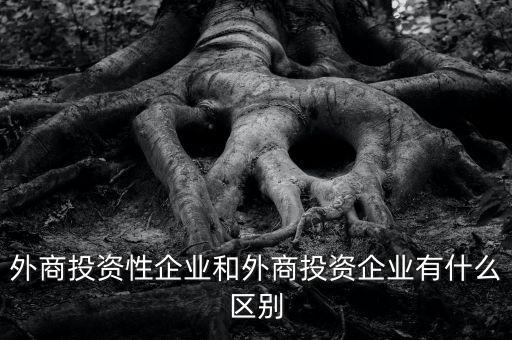 什么是投資性公司，外商投資性企業(yè)和外商投資企業(yè)有什么區(qū)別