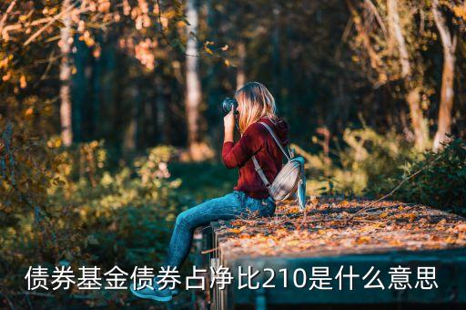 基金中的占凈比什么意思，債券基金債券占凈比210是什么意思