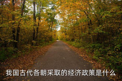歷史經(jīng)濟政策應該填什么，我國上世紀八十年代經(jīng)濟政策